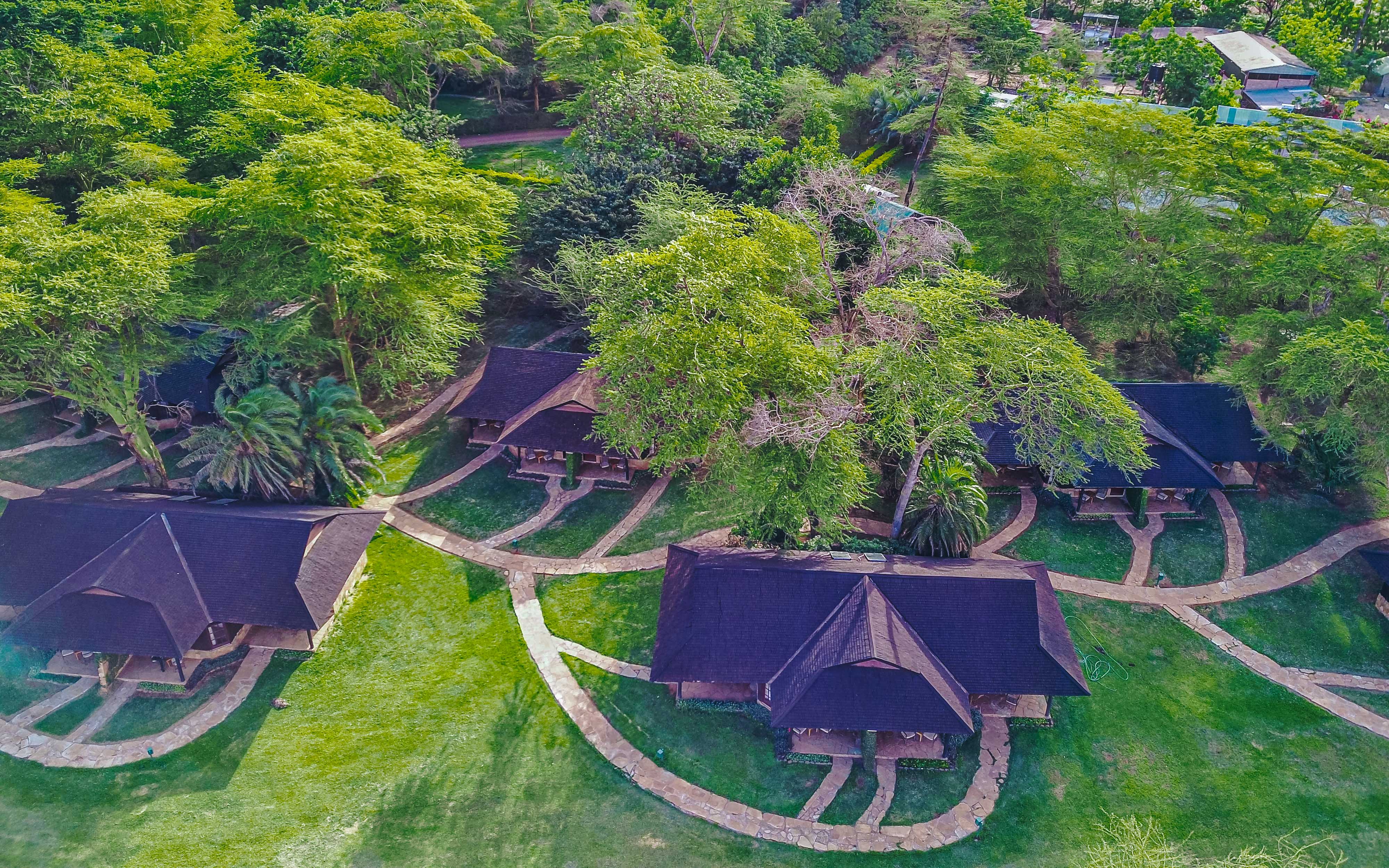 Lush landscapes during the green season